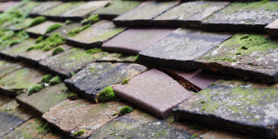 Paglesham roof repair costs